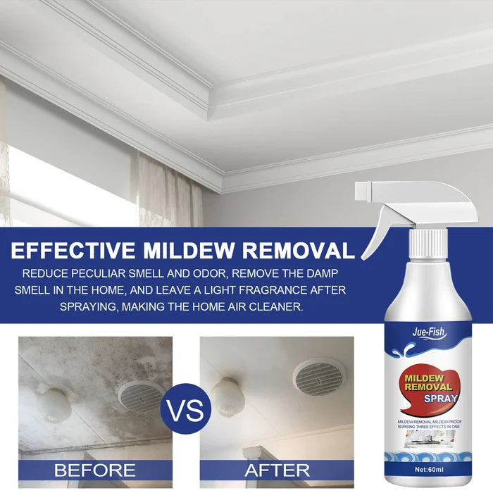 🔥VENTA CALIENTE 45% DE DESCUENTO🔥Spray Eliminador de Moho de Alta Eficacia - Previene la Reaparición de Moho 